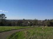 IMG_5276 * The view West into Citrus Heights. * 2592 x 1944 * (1.44MB)